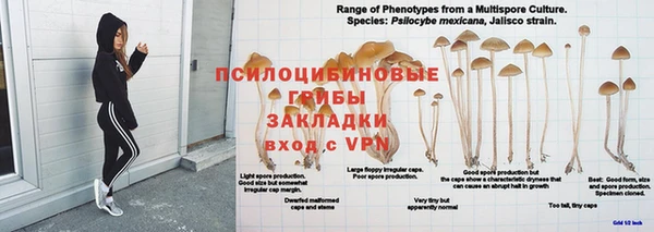 MDMA Беломорск
